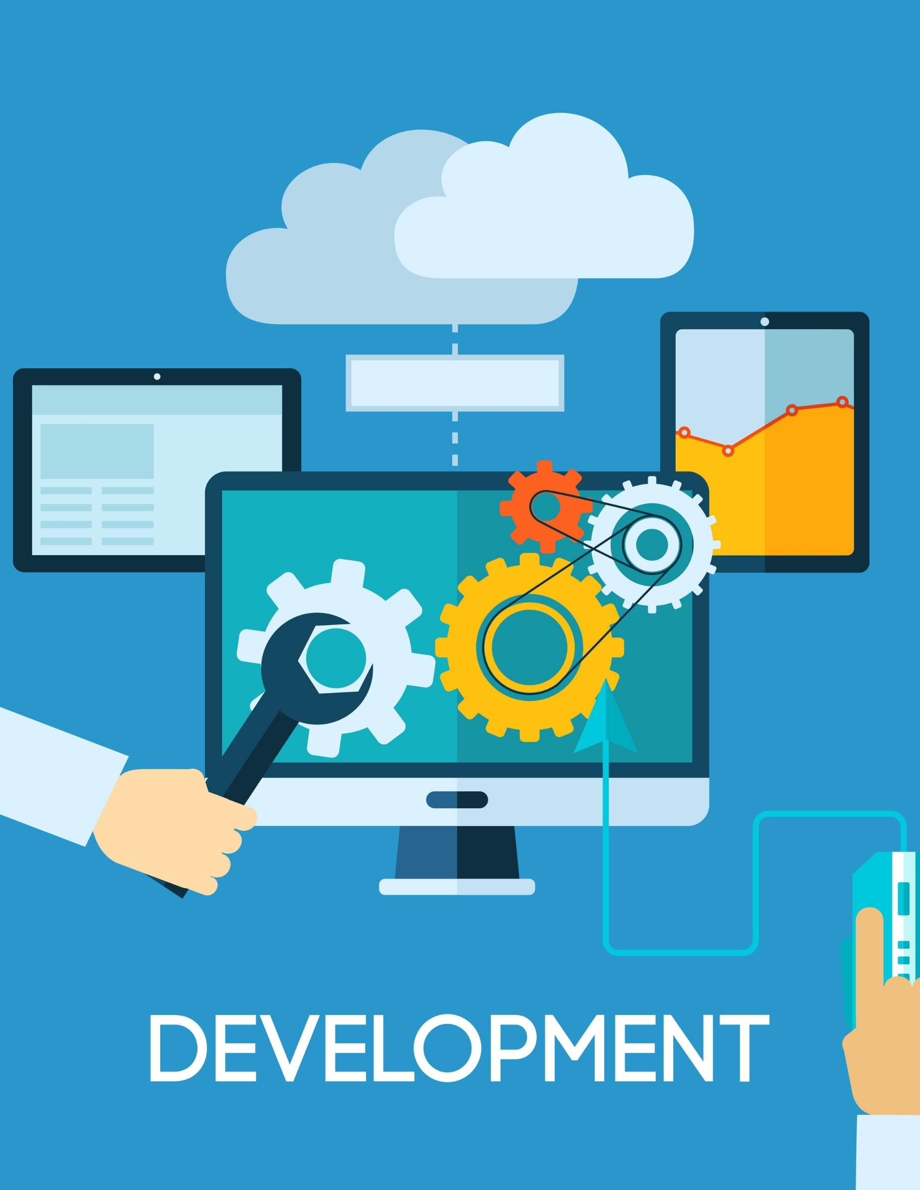 Custom Software Development || Cabptoid Solutions